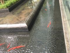 -北京希尔顿逸林酒店