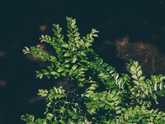 -四季暖堂·融合江浙菜(N1955创业园店)