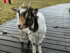 -新疆那拉提国家旅游度假区