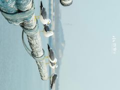 -大连老虎滩海洋公园