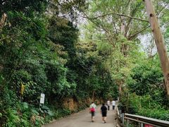 -小南山公园