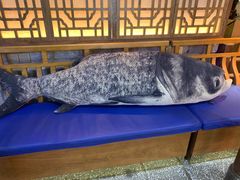 -坛宗剁椒鱼头(河西王府井店)