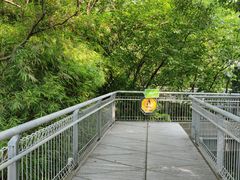 -佛山华盖山公园