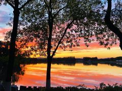 -大兴滨河森林公园