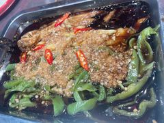 -古彭7只羊·招牌白串·碳锅羊肉旗舰店