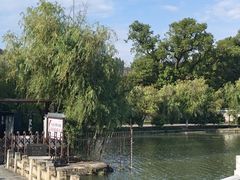 -八大山人梅湖景区