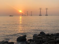 -宝安西湾红树林湿地公园