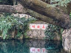 -蝴蝶泉公园