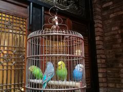 -鱼桥巷·美学川菜