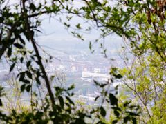 -上海佘山国家森林公园天马山园