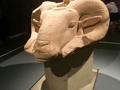 景点-辽宁省博物馆
