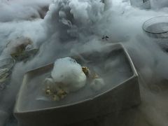 -地球美食剧场