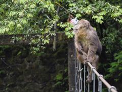 -西岭雪山大飞水景区