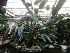 -汤山翠谷生态餐厅