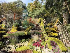 -杭州植物园