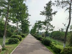 -白鹭湾湿地公园