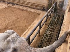 -贵州森林野生动物园