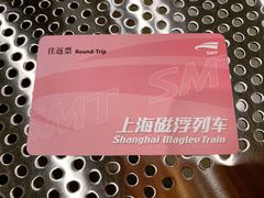 -龙阳路磁悬浮列车总站-停车场