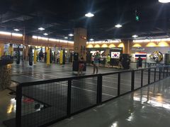 -天行健身＆天行拳馆跆拳道·格斗TXGYM