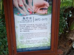 -三亚珠江南田温泉度假区