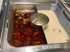 -新辣道鱼火锅(领展购物广场·中关村店)