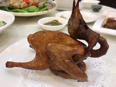 招牌红烧乳鸽16.8元/只-有腥气私房菜·寻味顺德