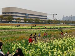 -三圣花乡旅游区