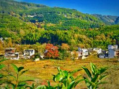 -塔川景区