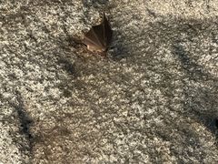 -青州仰天山