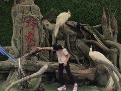 -野象谷景区