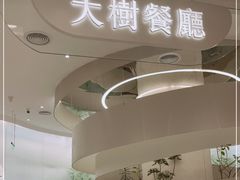 -大树餐厅(朝阳大悦城店)