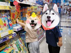 -TOYSRUS玩具反斗城(厦门中华城店)