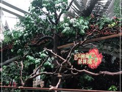 -正佳雨林生态植物园