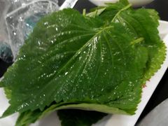 -杨记齐齐哈尔烤肉(总店)