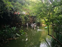-汇龙潭