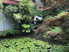 -中国茶叶博物馆(双峰馆区)