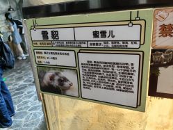 -Zoolung Zoolung动物主题公园(海信广场店)