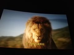 -AMG海上明珠影城(上海环球港RealDCinema店)