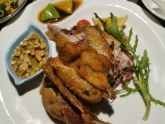 -青叶202都市餐厅(迪诺水镇店)