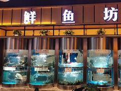 -老船舫·现做活鲜鱼馆(东郊记忆店)