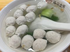 -海丝金凤(金鱼店)