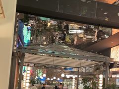 -桂满陇·海市蜃楼·黑金(国金店)