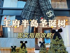 -王府半岛酒店