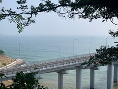 -星海湾跨海大桥