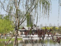 -西海子公园