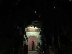 -天门沟九州驿站树上汤泉