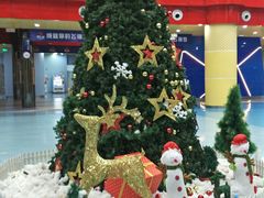 -重庆际华园室内极限运动中心