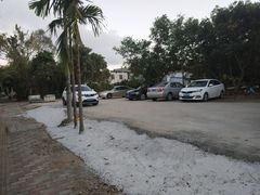 -琼大师东方烤乳猪(亚特兰蒂斯店)