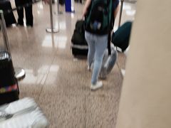 -巴塞罗那约瑟·塔拉德利亚斯-埃尔·普拉特机场