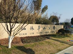 -羊山湖公园
